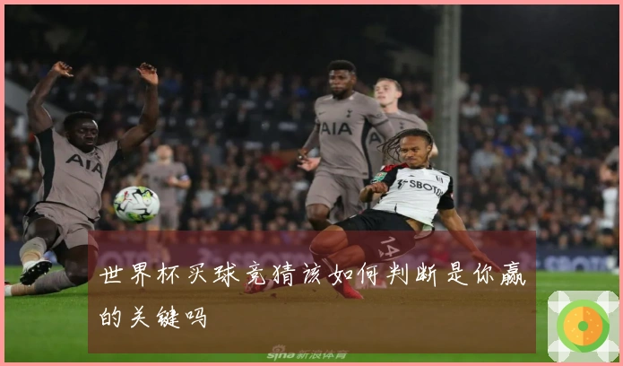世界杯买球竞猜该如何判断是你赢的关键吗