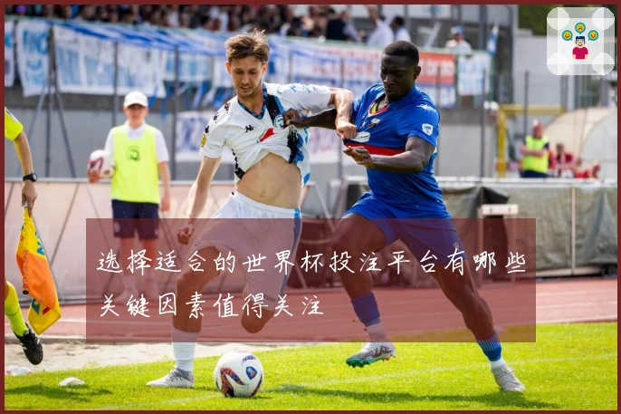 选择适合的世界杯投注平台有哪些关键因素值得关注