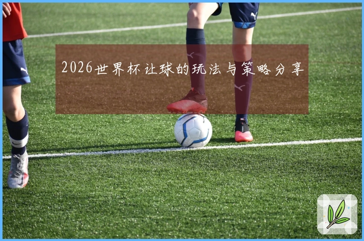 2026世界杯让球的玩法与策略分享